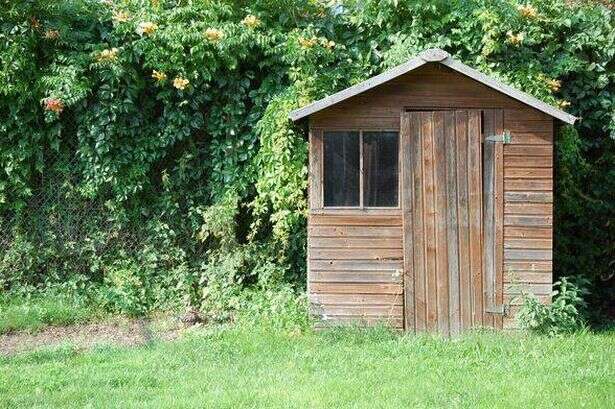 Households urged to use two items on sheds and decking that cost just £1