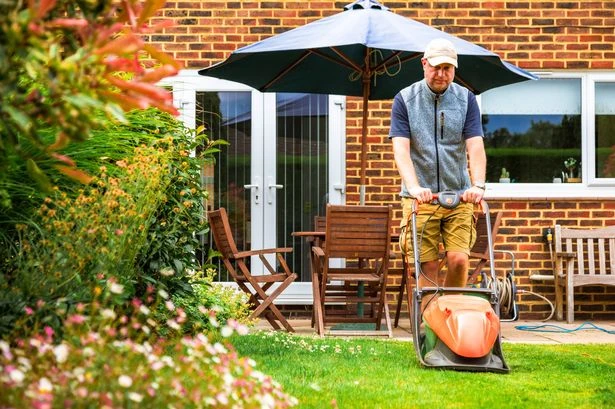 Landscapers say your grass will grow healthier if you avoid one mistake this autumn
