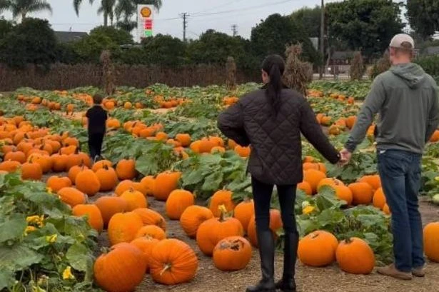 Meghan Markle and Prince Harry hold hands in sweet new video with kids
