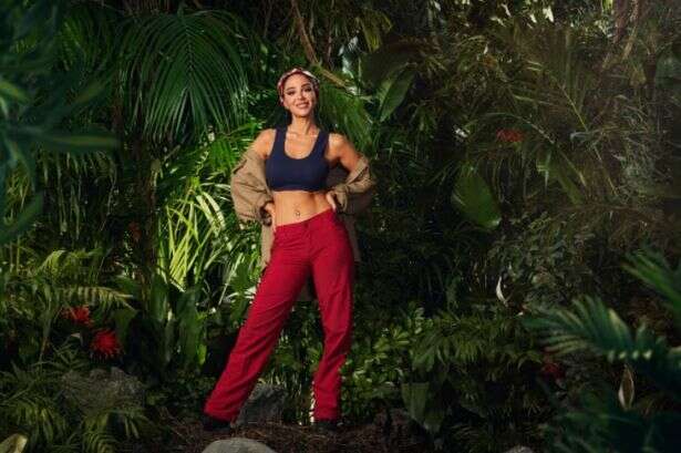 ITV I'm A Celebrity star Tulisa Contostavlos forced to issue 'denial' hours before show