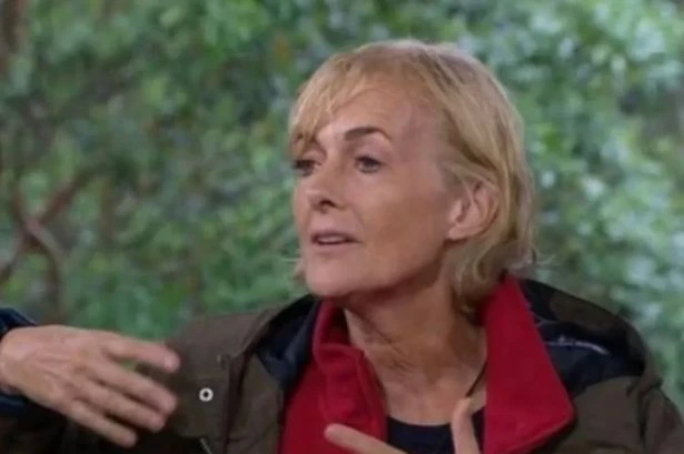 ITV I'm A Celebrity viewers spot Jane Moore's 'sly dig' at campmate in Ant and Dec interview