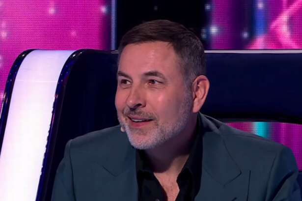 David Walliams left struggling on BBC The Wheel - and Michael McIntyre can't help