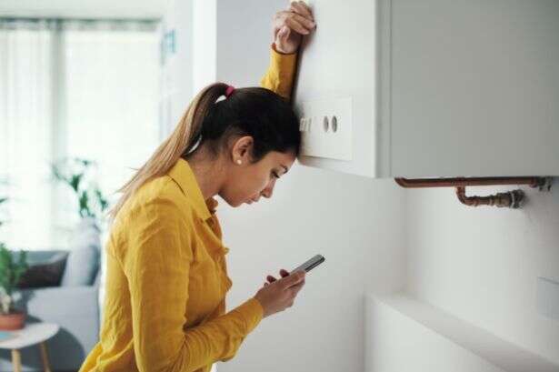 UK households told one button on boiler can hand them free £206 in November