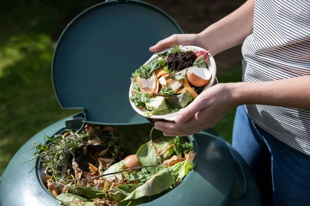 Gardeners urged to leave one item in garden to help birds in nesting season