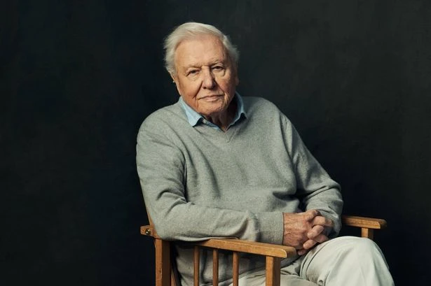 Sir David Attenborough's diet and health as BBC star 'coming to terms with it'