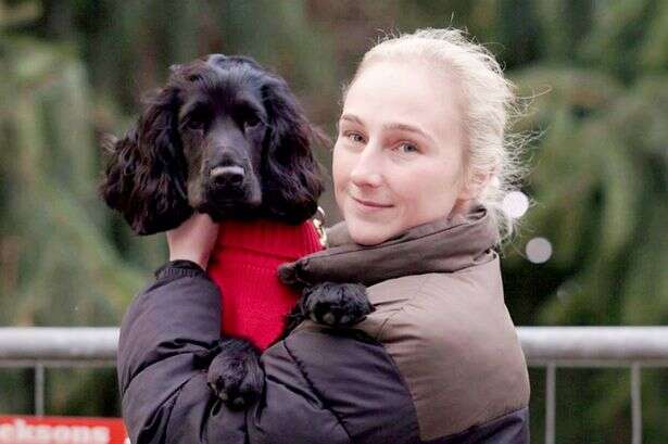 Dog spends Christmas with Walsall police officer who found her in a carrier bag