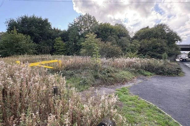 Huge £20k reward as manhunt continues after Sikh woman raped in Oldbury