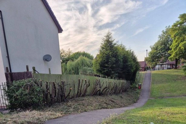 Anger after safety fears lead to 'brutal' treatment of hedgerow