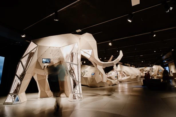 Megalodon and mammoth coming to Birmingham city centre in giant exhibition - and it's free for kids