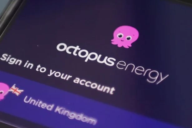 Octopus Energy issues update to millions of customers who don't have driveways