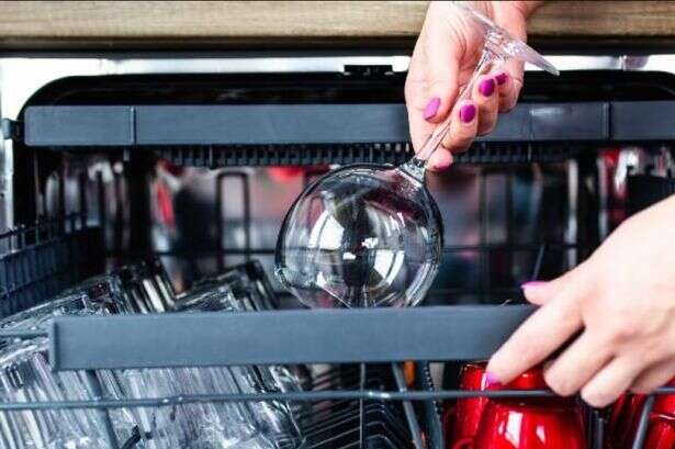 UK households must 'never' pre-rinse dishes before putting them in dishwasher