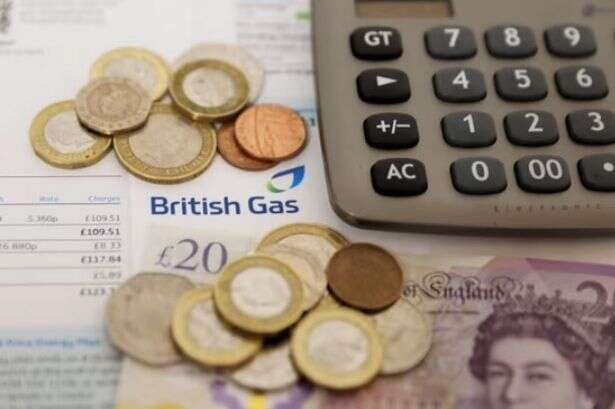 British Gas giving customers half-price electricity tomorrow for these two hours