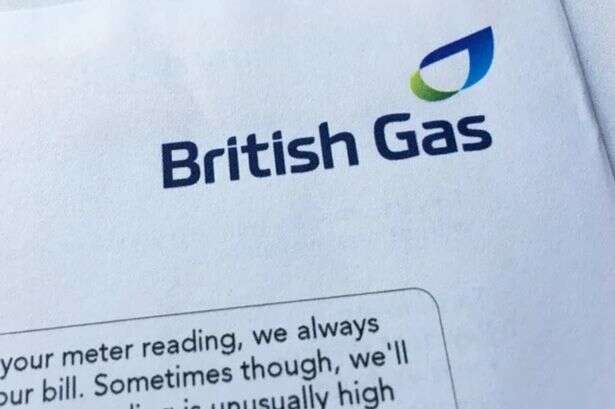 British Gas cuts number of people who can apply for £1,700 hardship fund