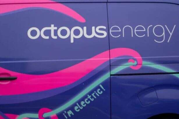 Octopus is handing energy customers a share of £500,000 payments