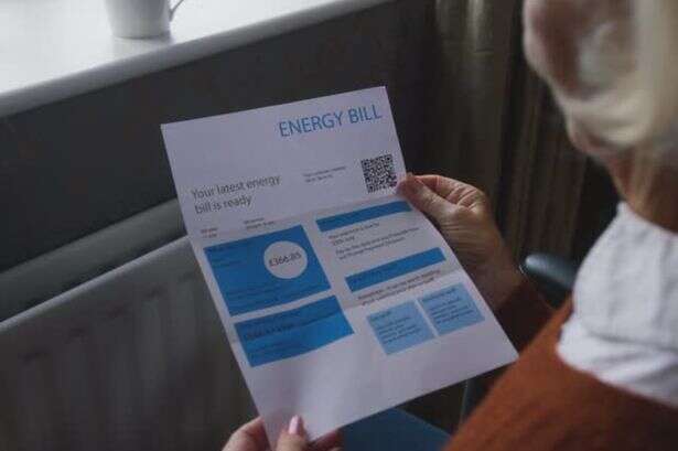 British Gas, OVO, EDF, EON, Octopus customers who agree to change 'nine habits' handed free £119