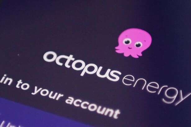 Octopus is handing customers in 'new homes' £0 energy bills