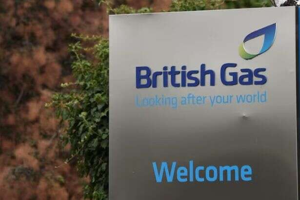 British Gas under fire after making £310 profit off each UK household