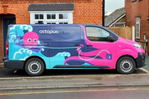 Octopus Energy issues warning to millions of customers and says 'it's crazy'