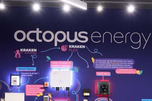 Octopus announces £0 energy bills for MORE households in major update