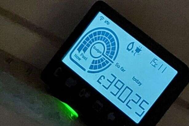 Martin Lewis' MSE warns smart meter owners will pay '5% more' than on-screen display shows