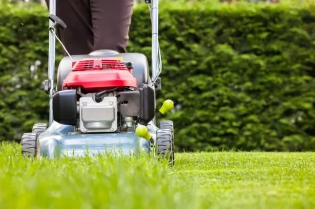British Gas, OVO, Octopus, EDF customers warned 'do not mow your lawn'