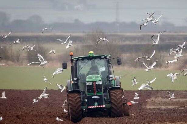 Farmers told 'loophole' is being closed by Labour after inheritance tax blow