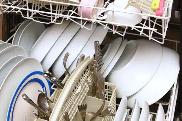 UK households urged to 'never' put three items in their dishwasher