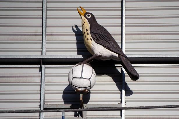 Woodman Corner - the ad-free West Brom newsletter you can sign up for today