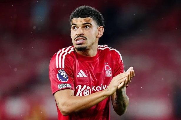 Former Wolves star Morgan Gibbs-White banned from driving and fined after speeding