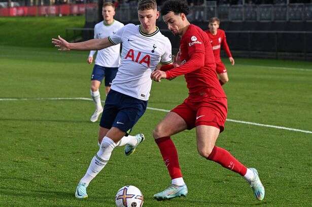 Jamie Donley and the other Tottenham wonderkids Chris Davies can sign for Birmingham City