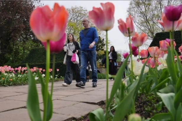 Met Office says dramatic weather shift will hit UK 'next Wednesday'