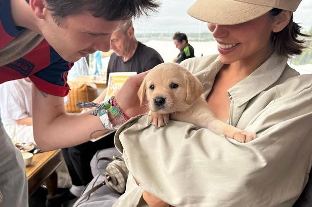 A glimpse inside David Beckham's son's luxury Glastonbury camp with hot tubs and ensuite showers