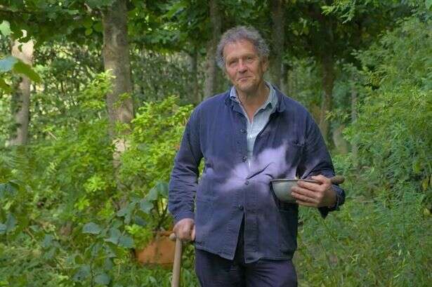 Monty Don reveals the ideal month for planting bulbs to ensure spring blooms