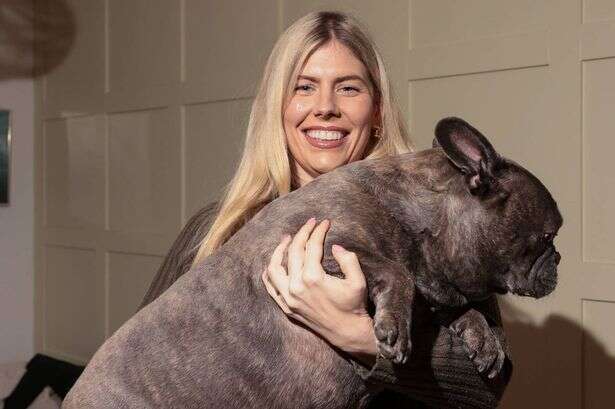 Meet Frankie, the giant French bulldog who might be the world's largest at 26kg