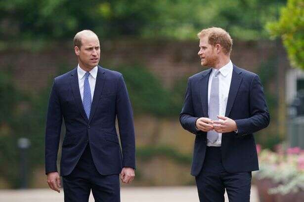 Prince William 'offers olive branch' to Prince Harry as he admits 'I was a bit anxious'