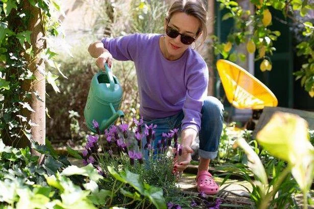 Clever watering hack means your plants won't die when you go on holiday
