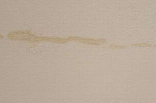 Marks on ceiling could mean your house has a very expensive problem