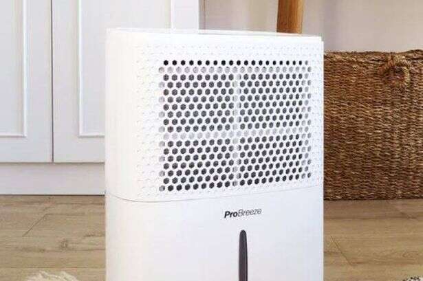 Debenhams slashes price of 'quiet' dehumidifier that 'clears out mould' by 46% off