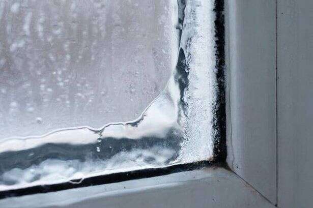 Expert shares 2-ingredient hack to stop window condensation - and it's not baking soda