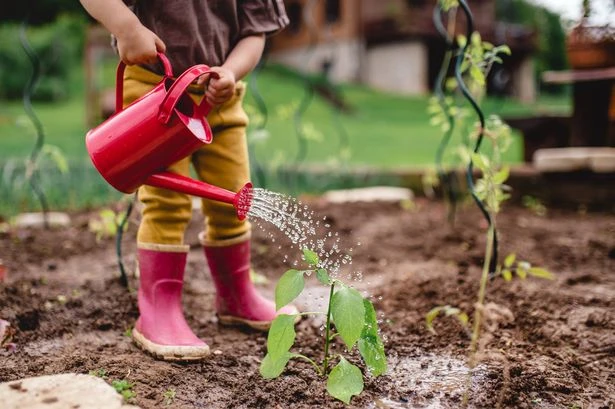 Gardening expert shares 'right' way to water plants - and it's all in the hose
