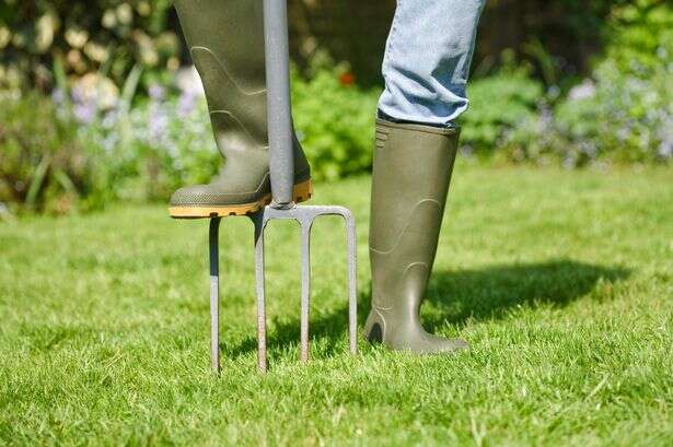 Monty Don shares 'vital' lawn care tip to ensure your grass is 'rejuvenated' next spring