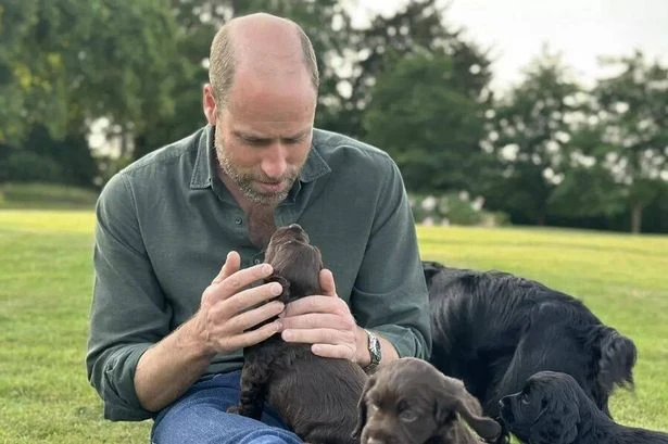 Prince William and Kate Middleton slammed as 'out of touch' as activists say they 'should know'