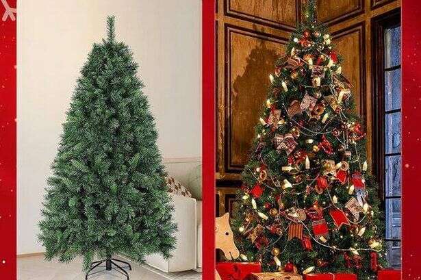 Shoppers 'delighted' with 'great value' artificial Christmas tree that's 'really easy to put together'