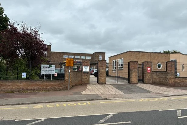 Nine primary school children hospitalised after eating seeds from tree on school grounds
