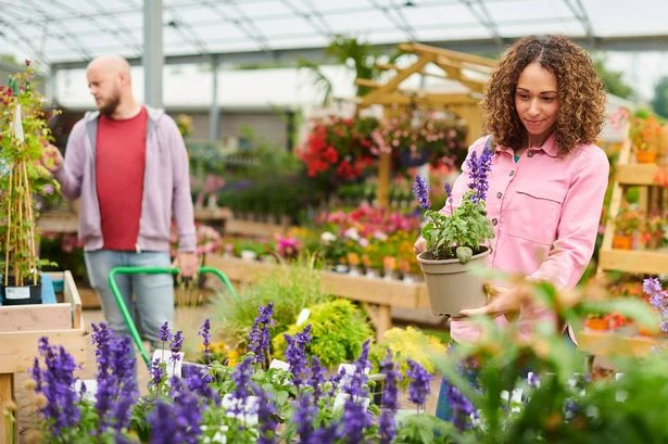 Gardeners warned not to fall for common 'garden centre trap'