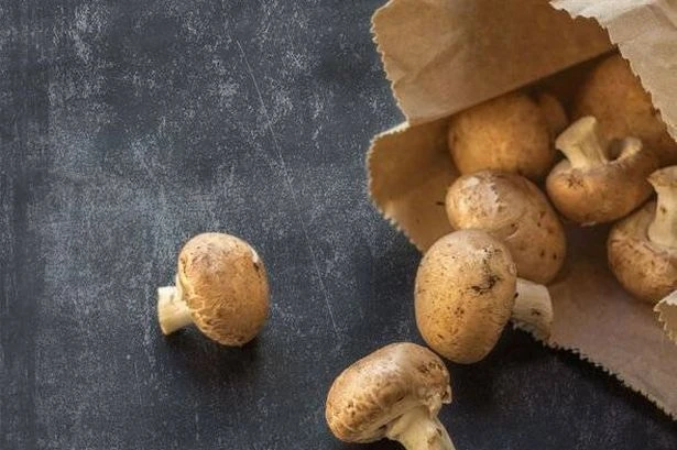 One 'biggest' mistake households make when storing mushrooms - how to keep them fresh