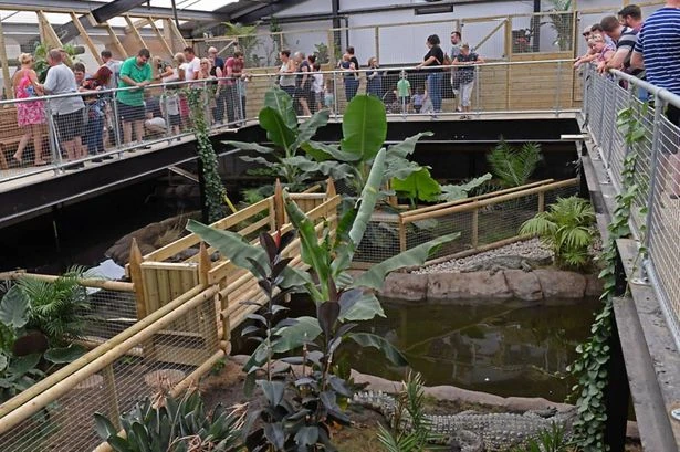 Major update from UK zoo after boy, 3, 'thrown in crocodile enclosure'
