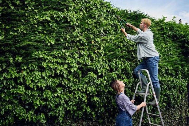 Monty Don shares 'decades of beauty' garden task that must be done in October