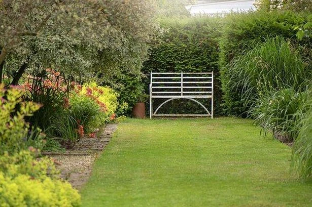 Gardener shares 'natural pest control' plant that 'every garden should have'