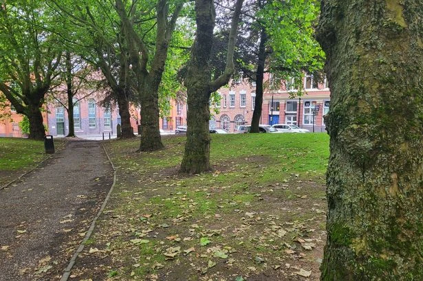 New cafe opens in Birmingham beauty spot and there's more to it than meets the eye